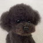 羊毛フェルト　犬　トイプードル【黒】