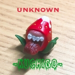 -KUCHIGO-歯列矯正ver