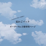 夏かごバック🦔オーダーNo.④様専用ページ