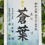 フレーム付き手書き命名書A4判　オーダー⑤