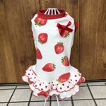 犬服　いちごのキョートなワンピース♡