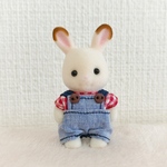 オーバーオールとチェック柄シャツ(赤×青)