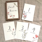 マンスリーカード  - Sketch Florals -  月齢カード