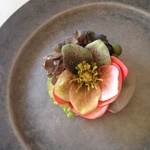 spring head dress & corsage No1: Xmasローズのコサージュ&ヘッドドレス