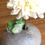 アマガエルの一輪挿し