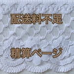 〠配送料選択お間違え時の精算ページです