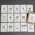 【送料無料】マンスリーカード/月齢カード