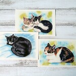 ポストカード猫パステル画３枚セット〈クロ＋子猫たち〉