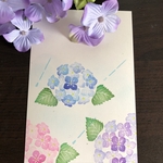 小さな紫陽花と雨粒