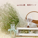 ＊ppt265s様　専用ページ＊