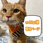 mchkgt様　専用ページ　手作りマスク　大きめ大人用　★夏用★