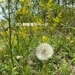 ポン酢様専用ページ
