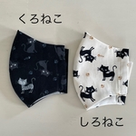 🐈‍⬛黒ねこのジジ　子供立体マスク