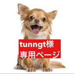 専用ページ