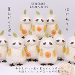 はじめての夏みかんコポル(ジト目)