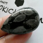 ナチュラルブラックコーラルジャスパー　カボションルース　29.2CTS　21x33x5MM