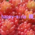 happy-mina様専用❤パープルライト❤セダム❤