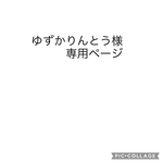 ゆずかりんとう様専用ページ