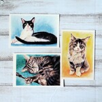 ポストカード🐈猫パステル画３枚セット