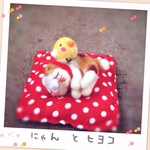 羊毛フェルト にゃんと ヒヨコ シリーズ  まどろむニャンコ