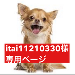専用ページ