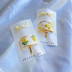 shishu.    accessory