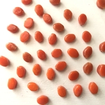 ひし形　 ガラスビーズ オレンジ　レッド　10個