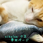 [nikolee さま¨̮♡専用ページ]