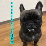 【sachiko様専用ページ】フレンチブルドッグイニシャルキーホルダー　