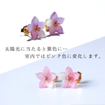 色が変わる＊桔梗の一粒ピアス