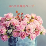 ◇akoさま専用ページ◇