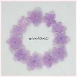 No.9 押し花〜紫陽花テマリテマリ