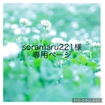 soramaru221様専用ページ