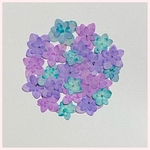 天然押し花素材　268