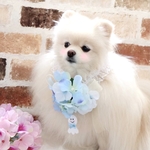 ふんわりボリューミー紫陽花シュシュ💖水色