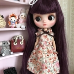 専用☆ミディブライス サイズアイシードールカスタム　アウトフィット 付き