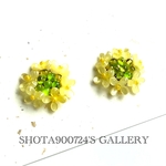 ❣️Thanks100❣️［再販5］菜の花　ピアス／イヤリング／樹脂ピアス〜菜の花畑で恋をして〜　菜の花　たんぽぽ　春　イエロー　#SSコレクション2022