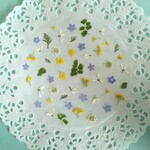 押し花素材　No138　ミニミニセット