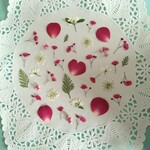 押し花素材　No140　鮮やかな小花のセット