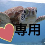 専用