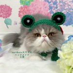 カエルのかぶりもの🐸　みどりの赤ほっぺ
