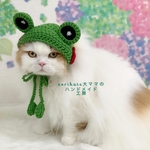 カエルのかぶりもの🐸　きみどりの赤ほっぺ