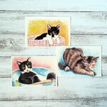 ポストカード　子猫パステル画３枚セット