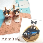 専用ページ　大漁じゃ～！木彫りじゃない猫　丘サーファーにゃんこ　ねこ　ネコ　猫
