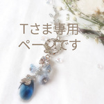 Ｔさま専用ページです