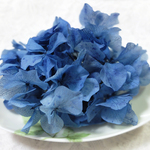＊２月限定お値下げ＊　ソフトロイヤルアジサイ　紫陽花　あじさい　プリザーブド　クラシックブルー