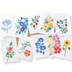 リニューアル！夏の花ポストカードセット