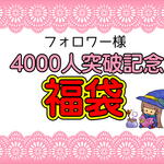 フォロワー様4000人突破❕❕お祝い福袋🎉同梱不可！！