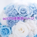 oct375様専用ページ あんスタ着ぐるみ2着