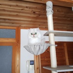 しずくさま専用ページ